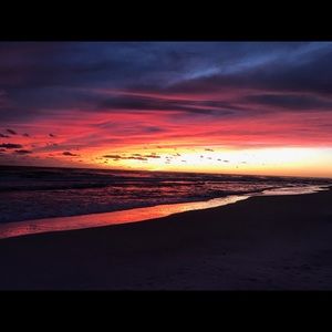 Meet your Posher, Ricky